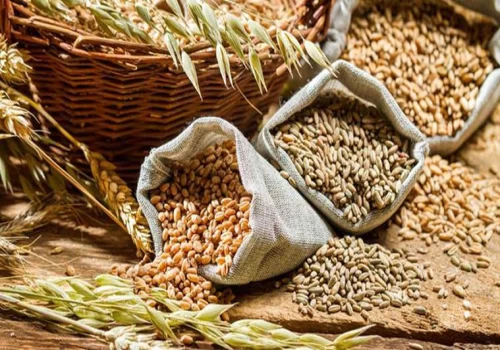 India posts highest-ever foodgrain output, marking a decade of strong agricultural growth